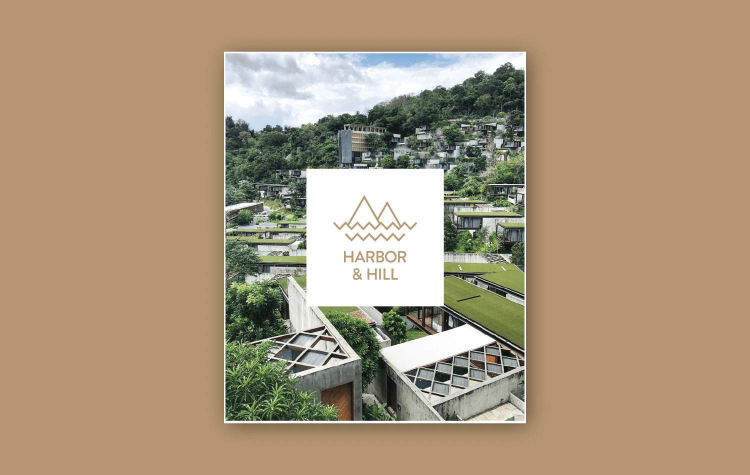 Harbor & Hill social content